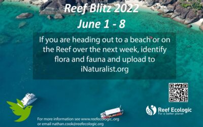 Reef Blitz 2022 in celebration of World Environment Day (5th June) and World Oceans Day (8th June)