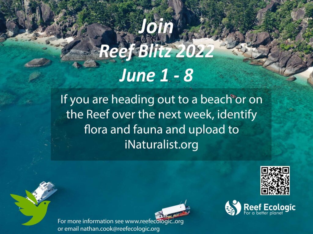 Reef Blitz 2022